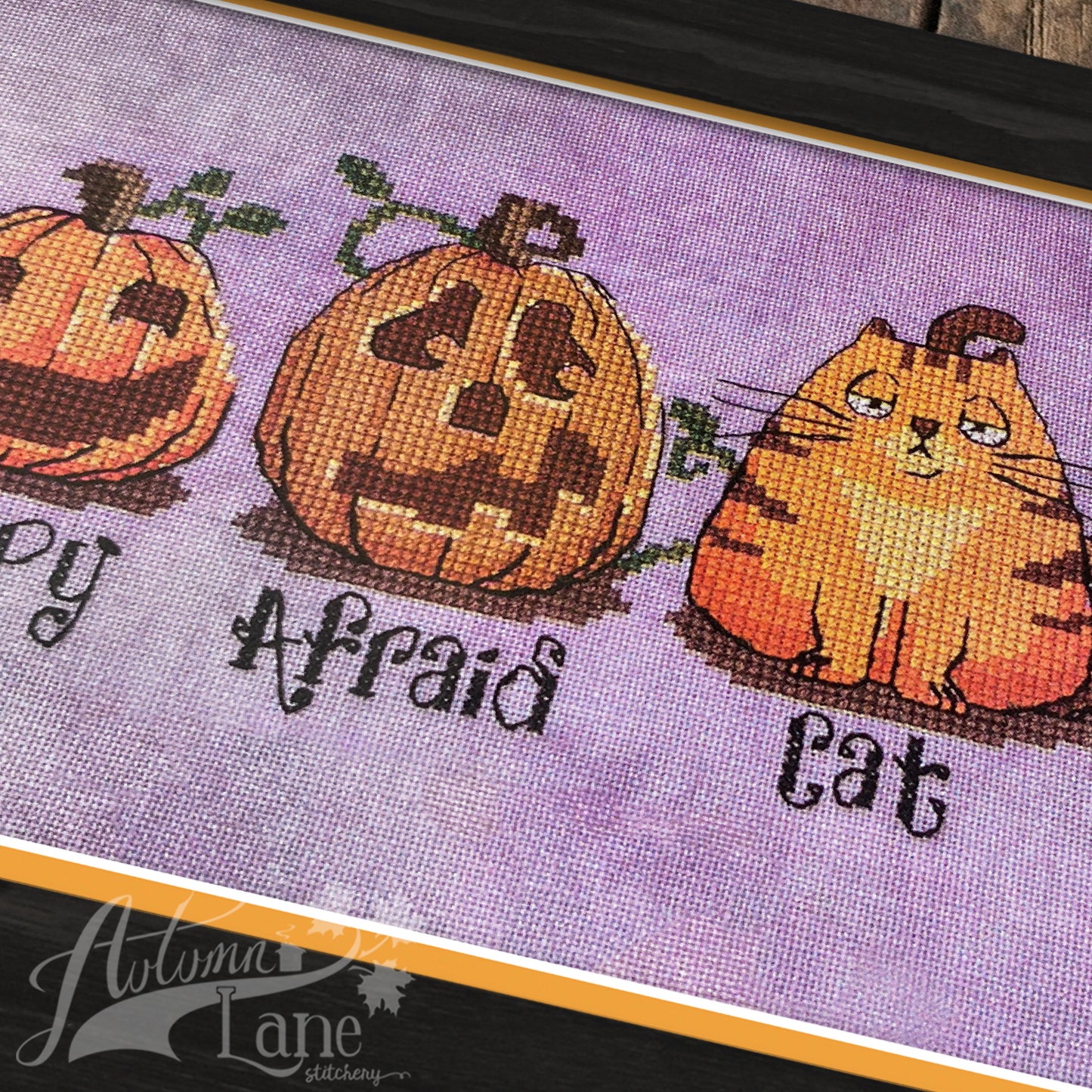 Pumpkins lined up. A cat is camouflaged as one of them.