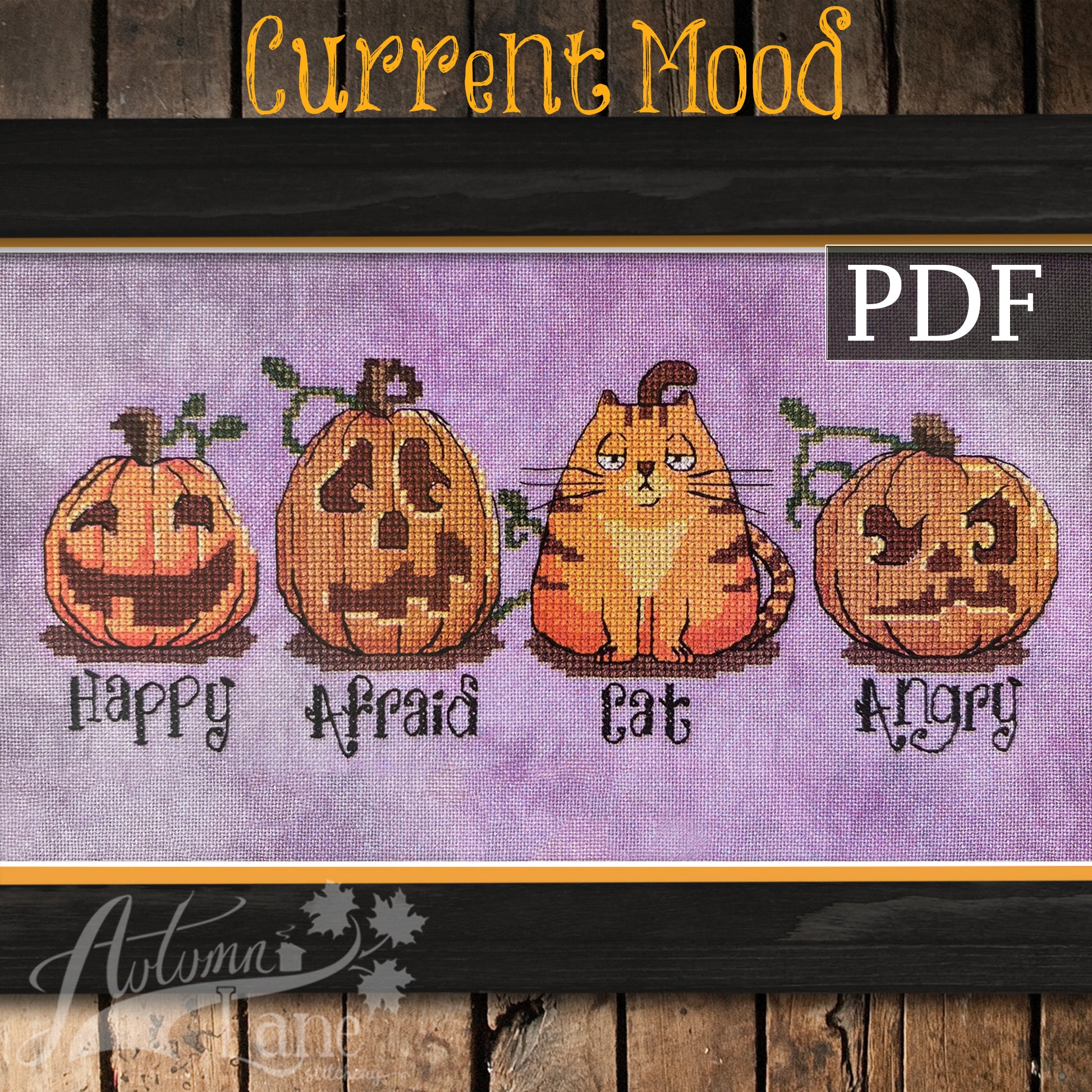 Pumpkins lined up. A cat is camouflaged as one of them.