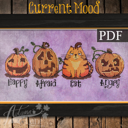 Pumpkins lined up. A cat is camouflaged as one of them.