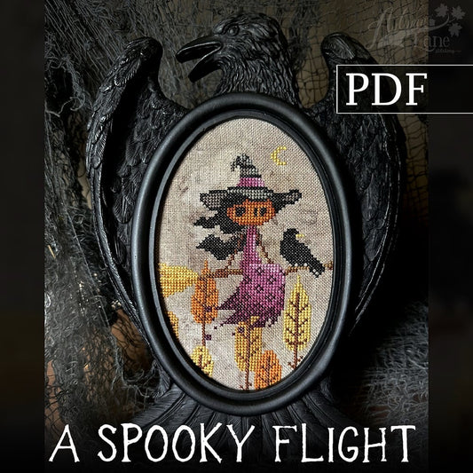 A Spooky Flight Digital Download AND Frame Combo